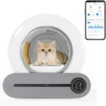 Selbstreinigende Katzentoilette, Automatisch Katzenklo, APP/65L/Gesundheitscheck