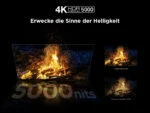 TCL 65Q8C 65 Zoll QD Mini LED, 4K HDR Premium 144Hz ZeroBorder™, Smart Google TV – Bild 8