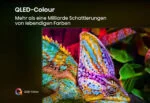 Hisense 43E77Q PRO ⭐, 43 Zoll, 3840 x 2160 Pixel, QLED, Smart-TV, WLAN BLE 144Hz – Bild 5