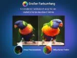 43 Zoll Android Smart TV QLED 4K UHD Fernseher Google Dolby Triple Tuner DE RCA – Bild 14