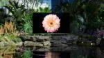 HISENSE 55 Zoll Fernseher 55A79NQ 4K Ultra HD QLED Smart TV 🌟Alexa Dolby Atmos – Bild 17